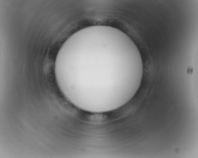 X0000113100225200909182145