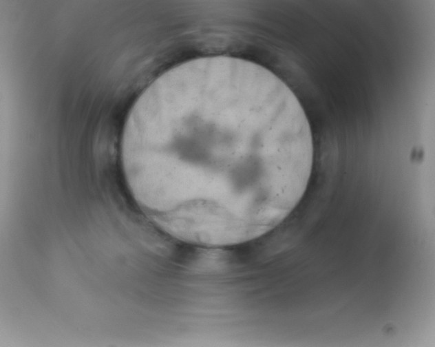 X0000113100226200909182145