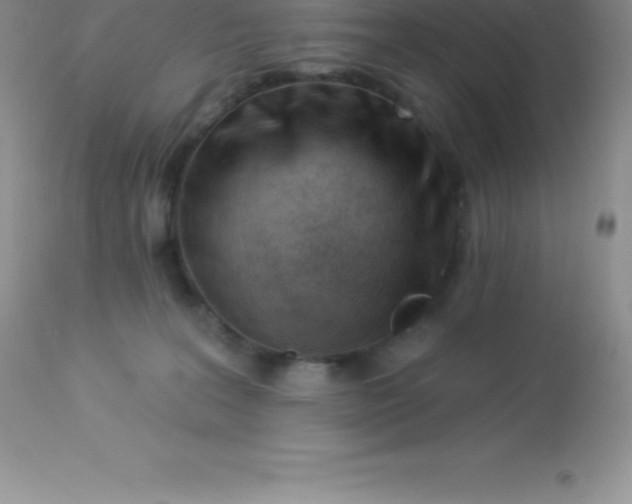 X0000113100227200909182145