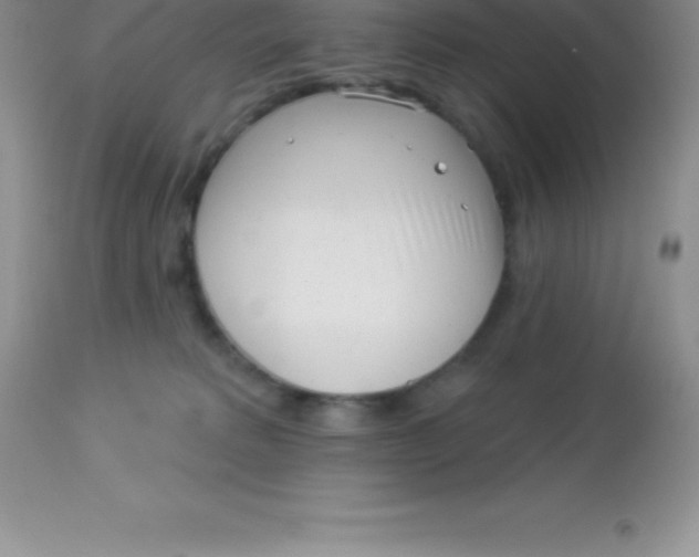 X0000113100229200909182145