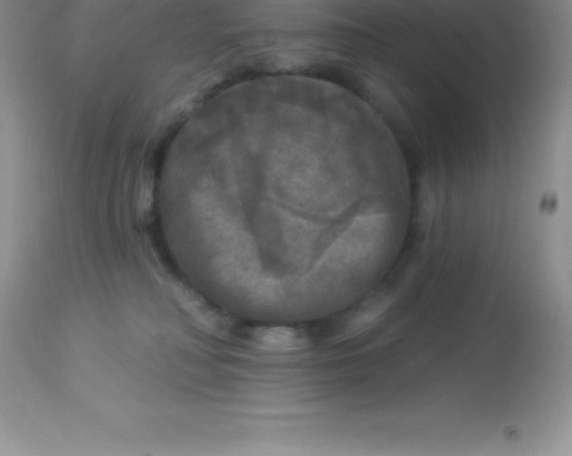 X0000113100230200909182145
