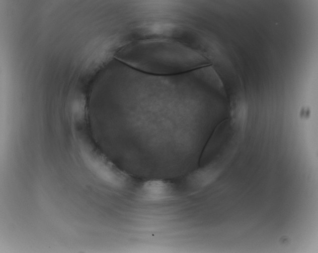 X0000113100231200909182145