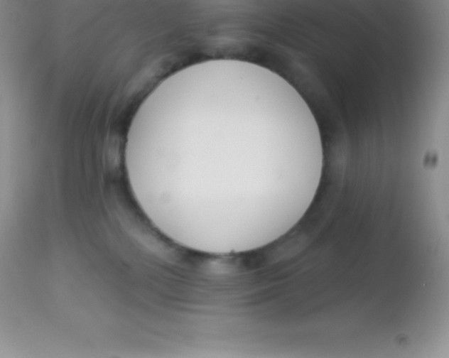 X0000113100232200909182145