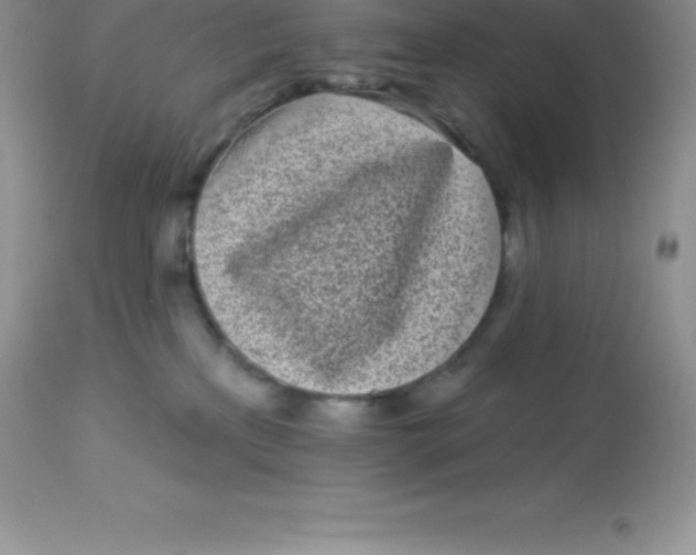 X0000113100233200909182145
