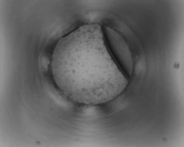 X0000113100235200909182145