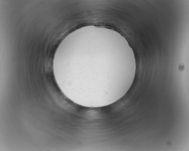 X0000113100236200909182145