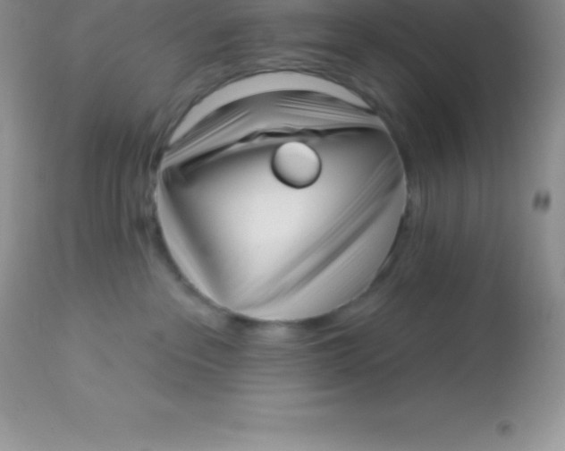 X0000113100237200909182145