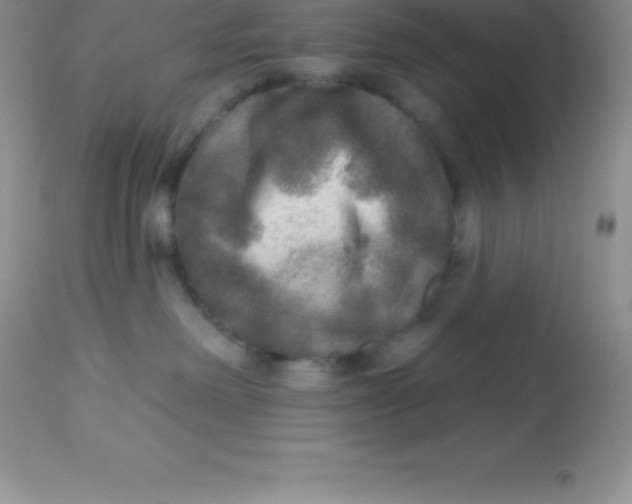 X0000113100238200909182145