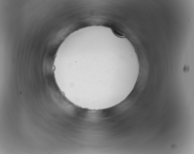X0000113100240200909182145