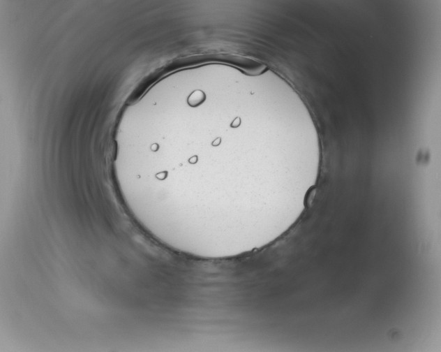 X0000113100241200909182145
