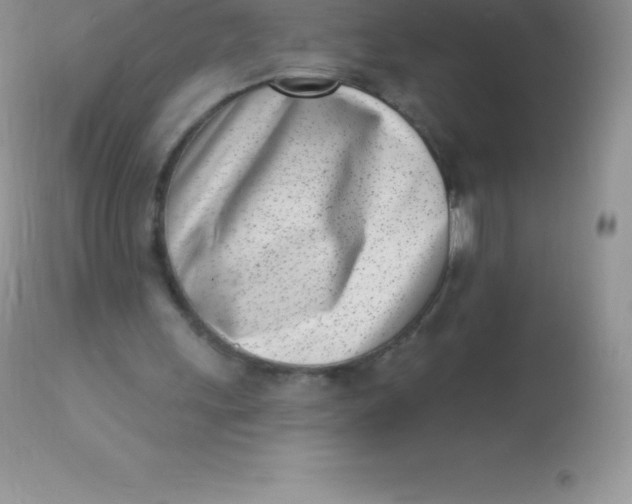 X0000113100243200909182145