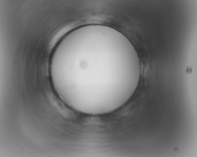 X0000113100244200909182145