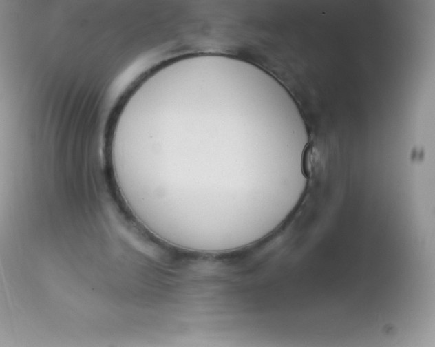 X0000113100246200909182145