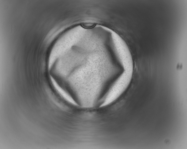 X0000113100247200909182145