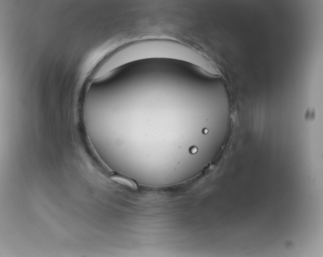 X0000113100248200909182145
