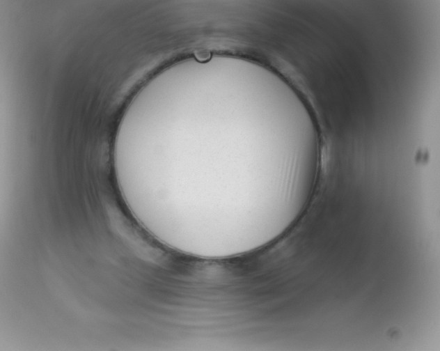 X0000113100249200909182145