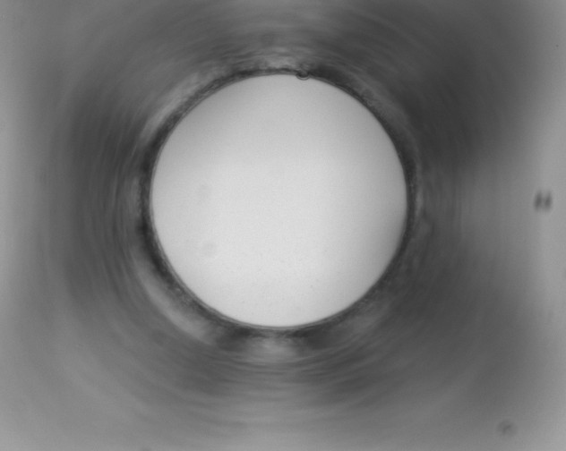 X0000113100250200909182145