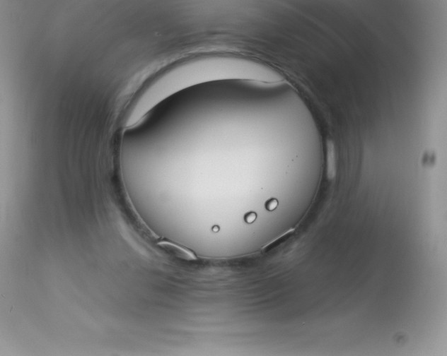 X0000113100252200909182145