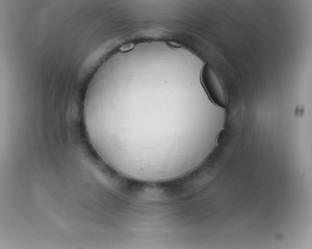 X0000113100256200909182145