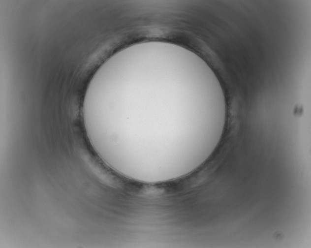 X0000113100257200909182145