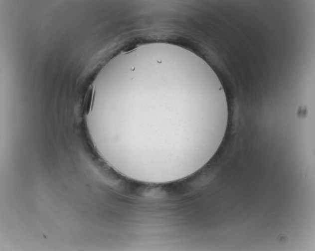 X0000113100258200909182145