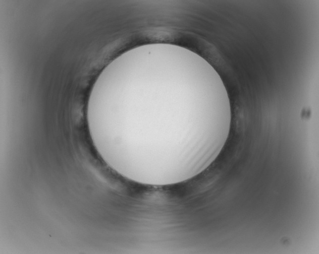 X0000113100259200909182145