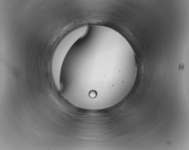 X0000113100260200909182145