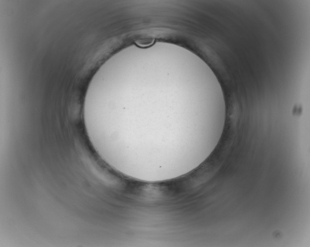 X0000113100261200909182145