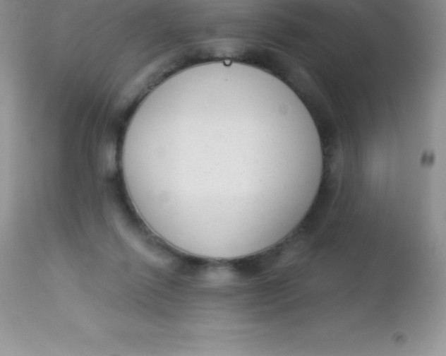 X0000113100262200909182145