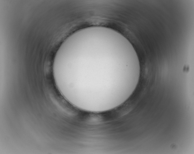 X0000113100263200909182145