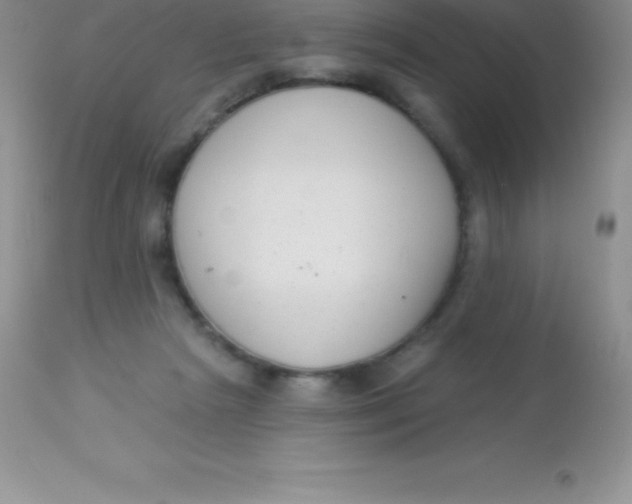 X0000113100265200909182145