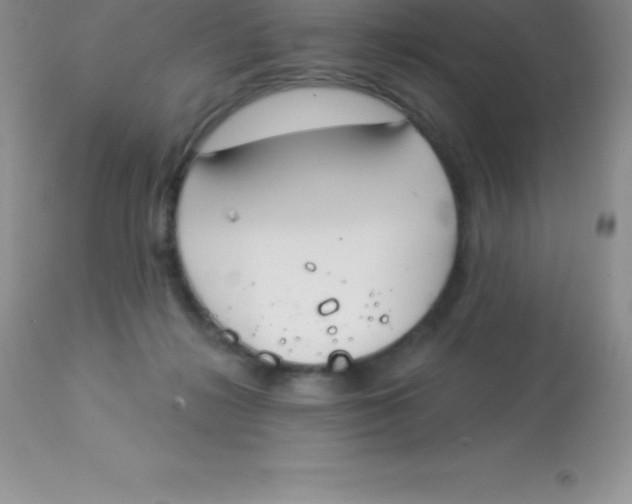 X0000113100268200909182145