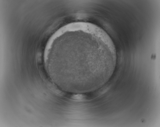 X0000113100269200909182145