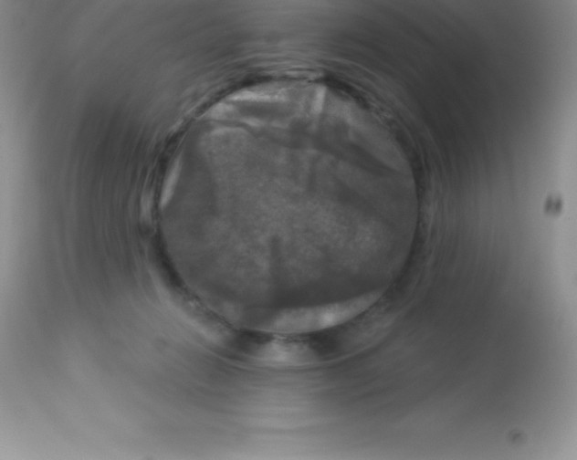 X0000113100270200909182145