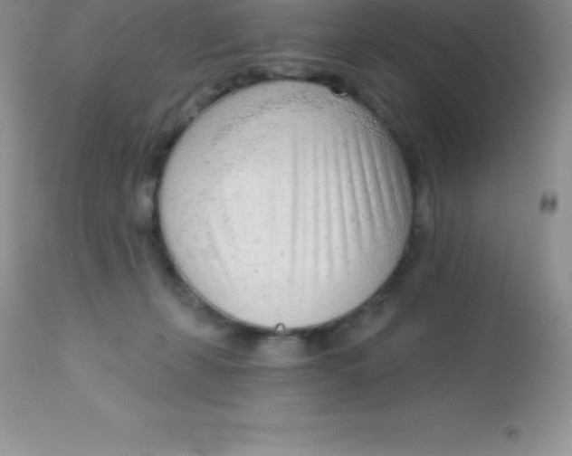 X0000113100271200909182145