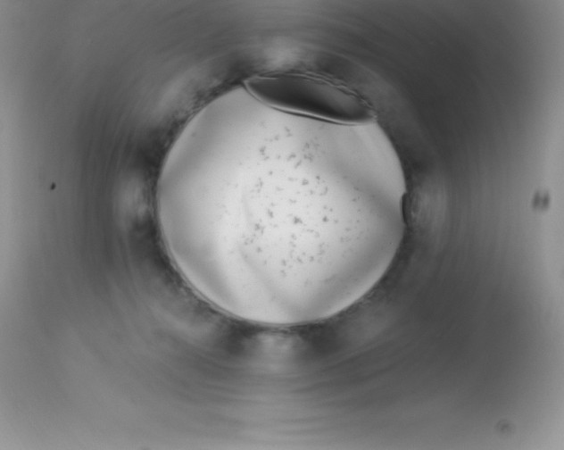 X0000113100272200909182145