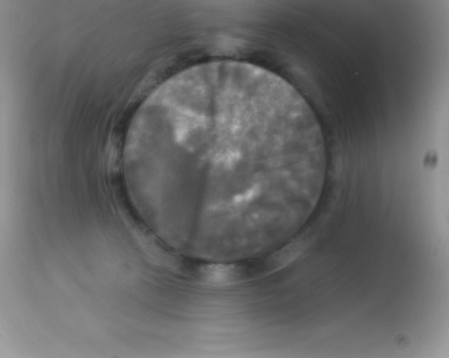 X0000113100273200909182145