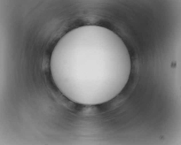 X0000113100274200909182145