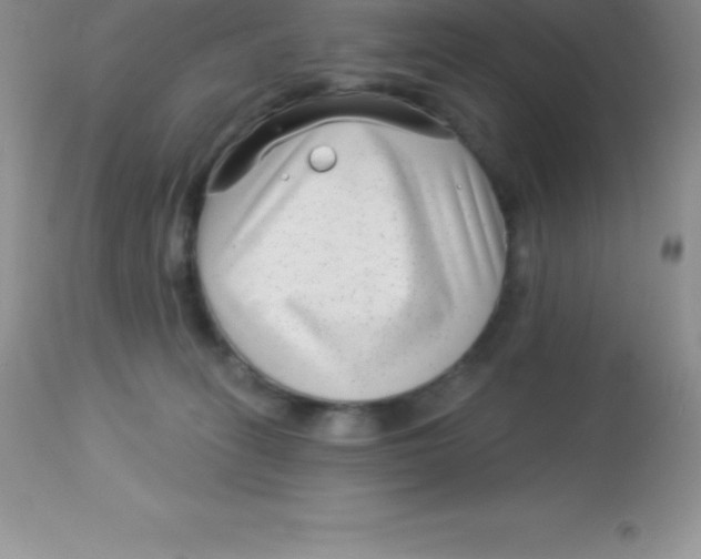 X0000113100275200909182145