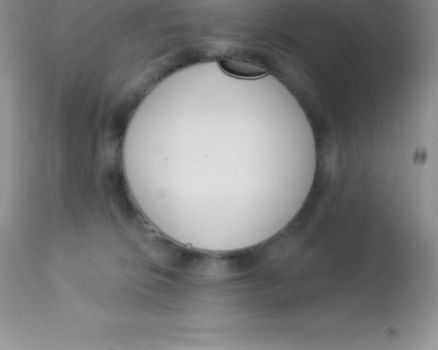 X0000113100276200909182145