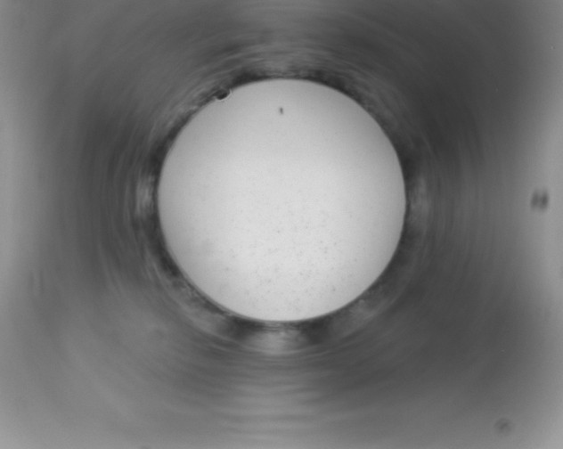 X0000113100278200909182145