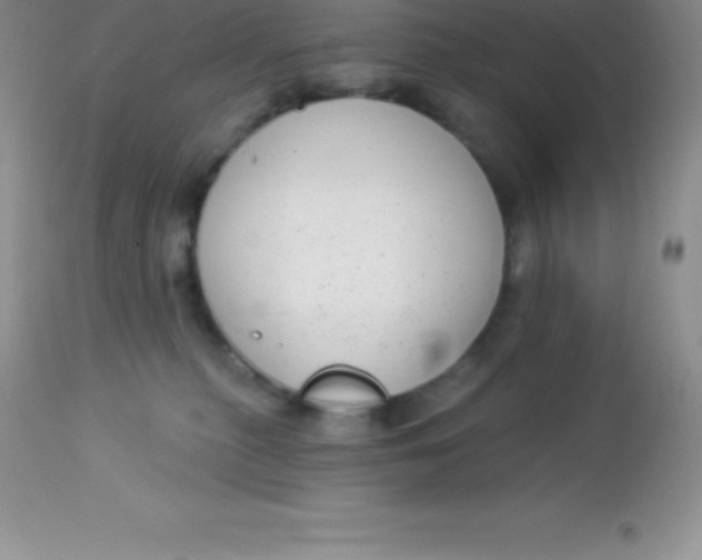 X0000113100279200909182145