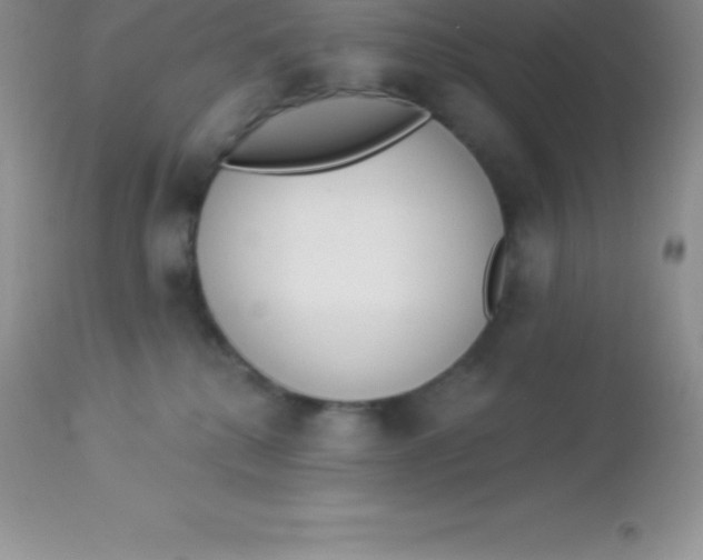 X0000113100280200909182145