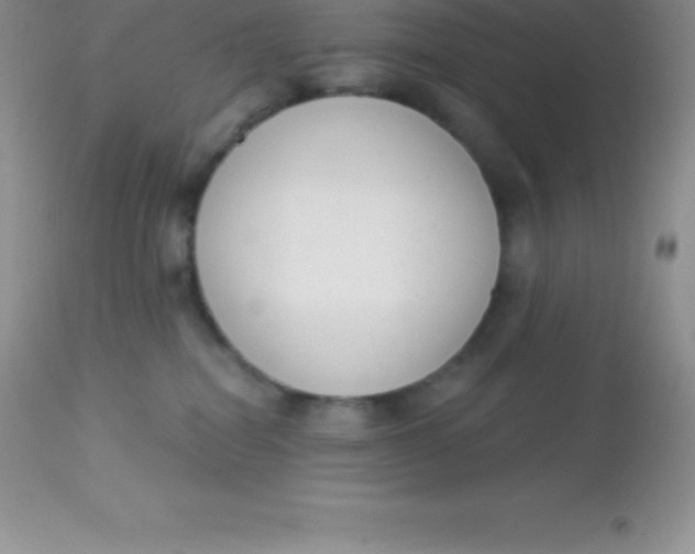 X0000113100282200909182145