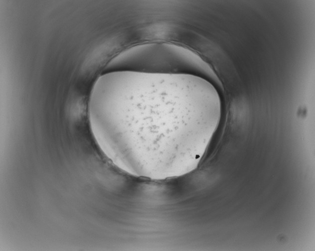 X0000113100284200909182145