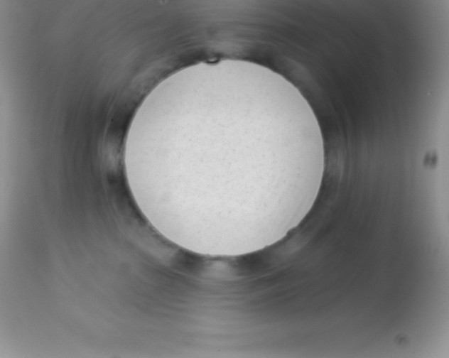 X0000113100285200909182145