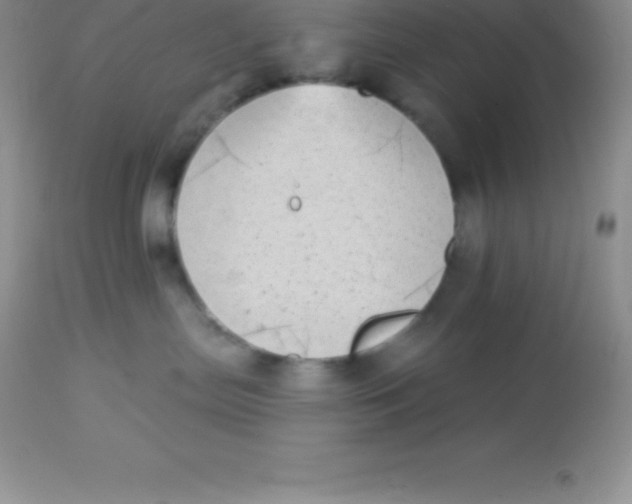 X0000113100287200909182145