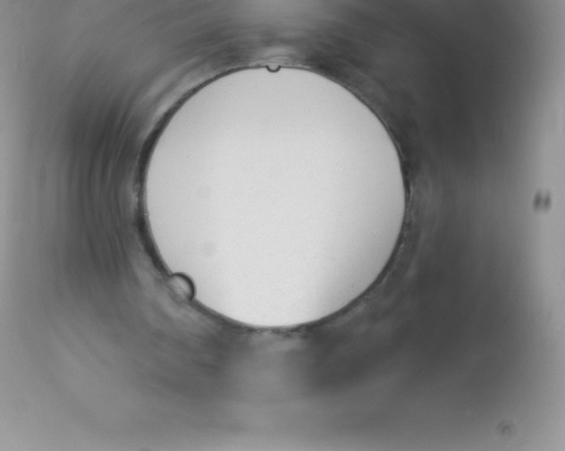 X0000113100290200909182145