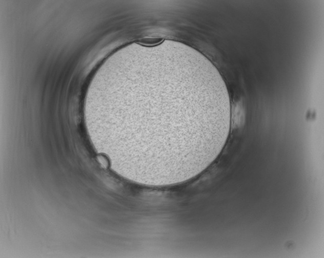 X0000113100291200909182145