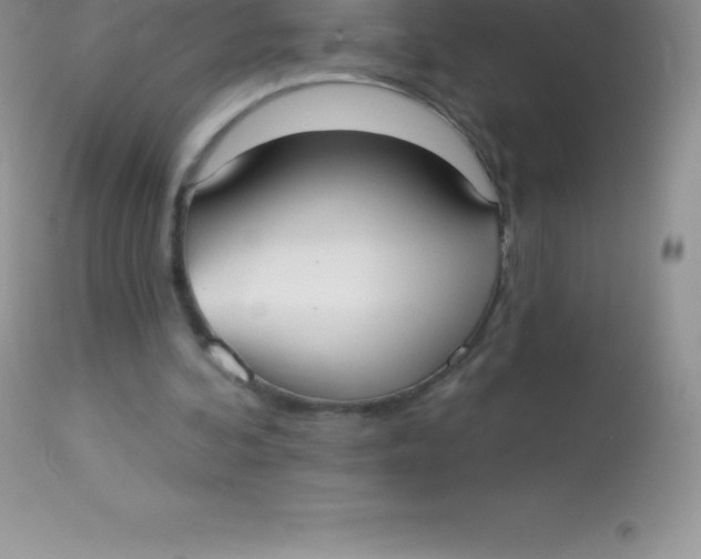 X0000113100292200909182145